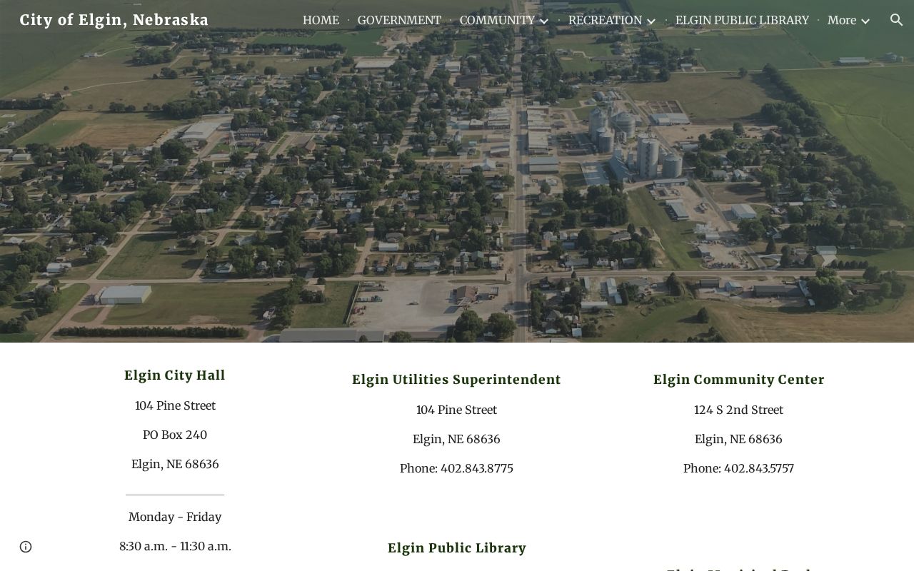 Elgin warrant search reference showing the official City Hall contact page
